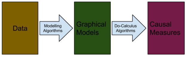 Causal Models- Overview