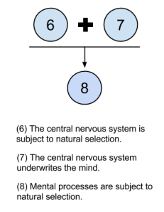 Massive Modularity- Argument From Design- Mental Evolution