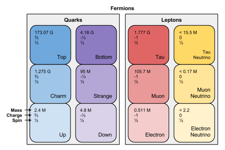 Fermions- Three Generations
