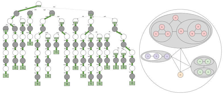 Chess Psychology- Ordinal Representation