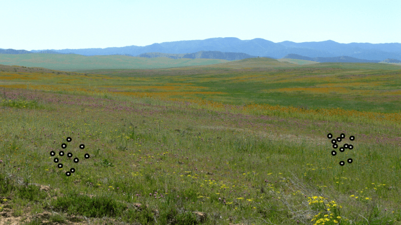 Population Genetics- Gene Landscape (1)