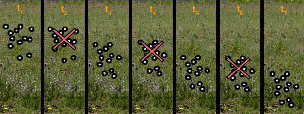Population Genetics- Genetic Drift (1)