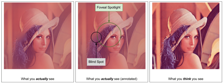 Attention- Foveal Vision (Lena Example)