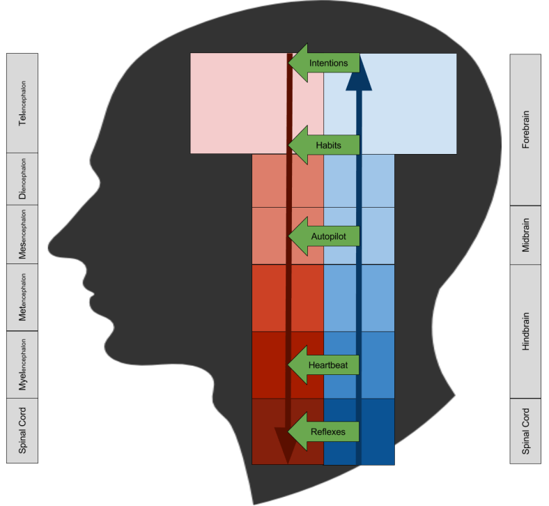 Cybernetics- Decision Making