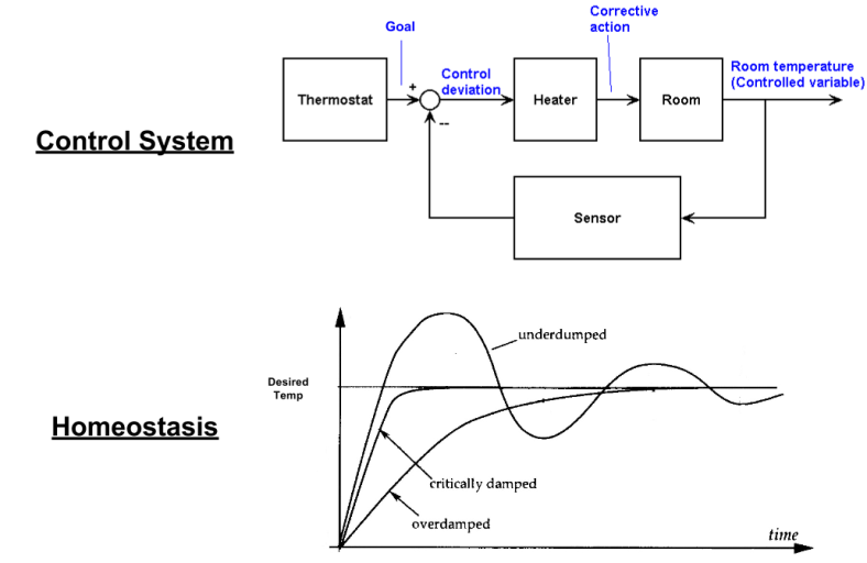 Cybernetics- Homeostasis (1)