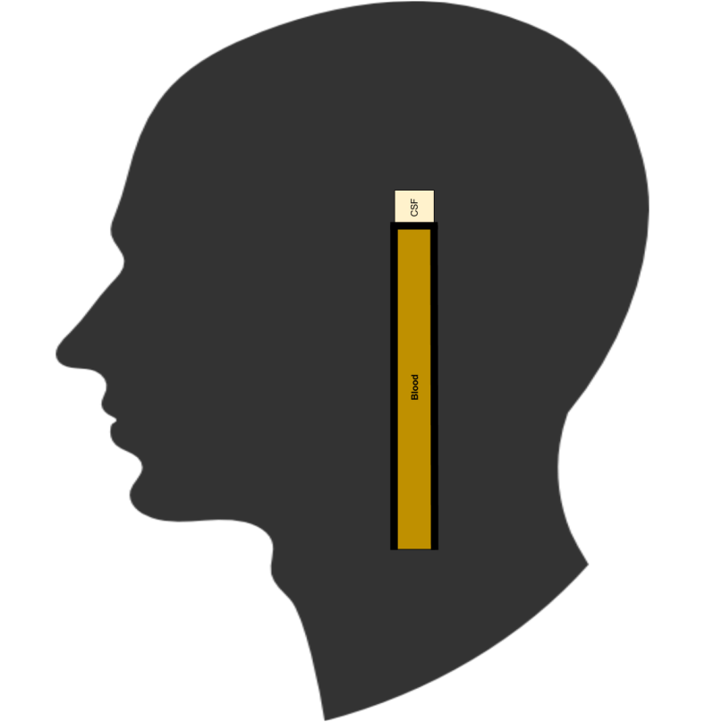 Neuroendocrine- BBB and BCSFB