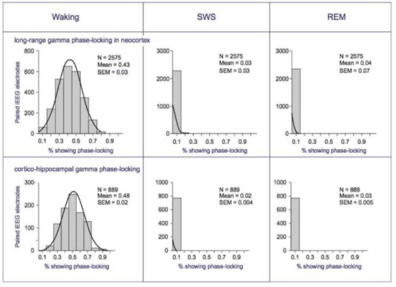 Objects- Phase Locking & Wakefulness