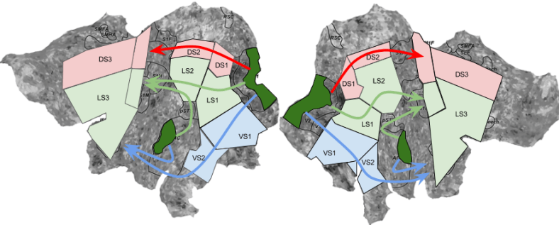 Three Streams- Three Phases
