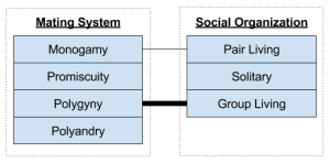 Primate Societies- Mating System vs Organization (1)