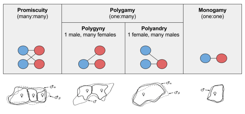 Primate Societies- Mating Systems and Territories
