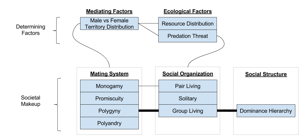 Primate Societies- Systemic View (4)