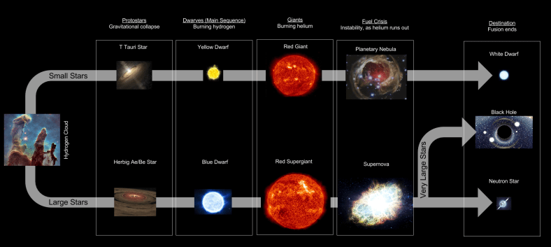 Stellar Evolution- Lifecycle Flowchart (1)
