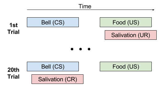 behaviorism-classical-conditioning-2