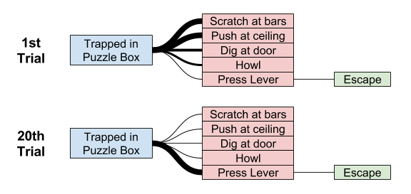 behaviorism-law-of-effect-3