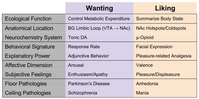 rewardsubstrate-wanting-vs-liking