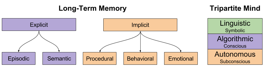 CLS- Categories of Long-Term Memory (1)