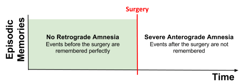 CLS- HM Amnesia Pattern v1 (1)