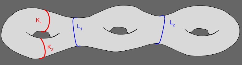 Isotopy_ Genus 3 Torus (1)