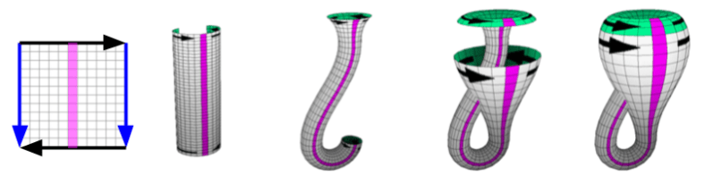 Topology- Klein Bottle Construction (5)