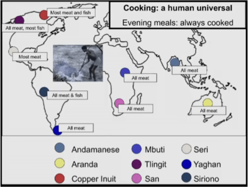Cooking_ A Human Universal (1)