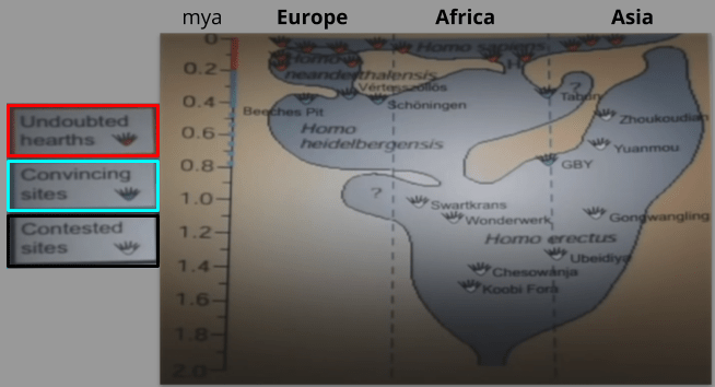 Cooking_ Archaeology Evidence (1)