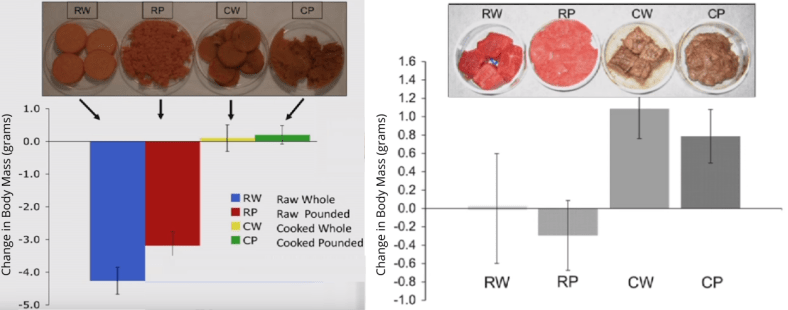 Cooking_ Energy Benefits of Cooking (1).png