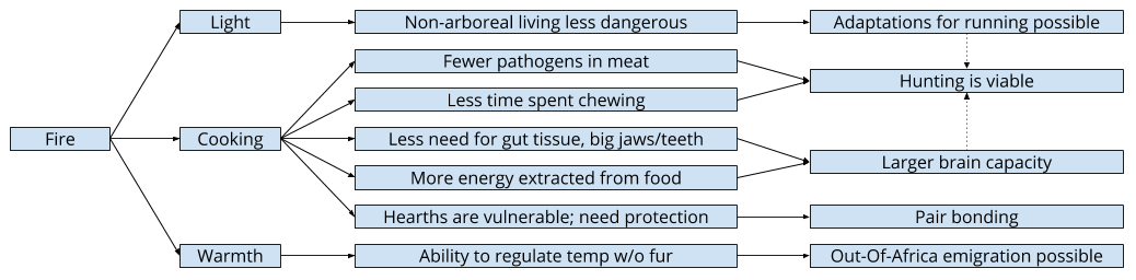 Cooking_ Overall Argument (3)
