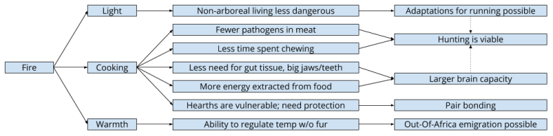 Cooking_ Overall Argument (3)