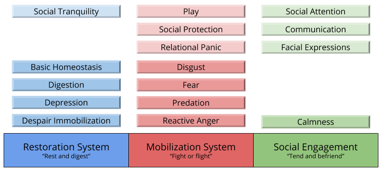 Polyvagal_ Substrate for Emotions (3)