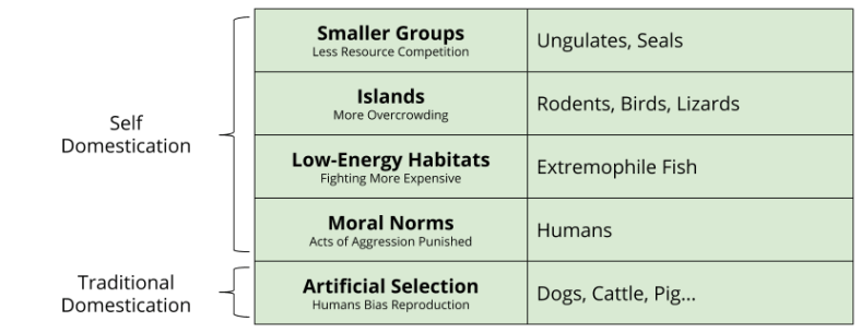 Self-Domestication_ Categories of Aggression Reduction (1)