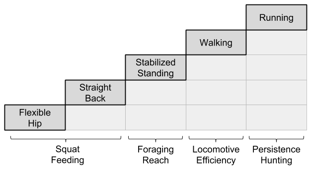 Bipedalism_ Ecological Pressures (2)