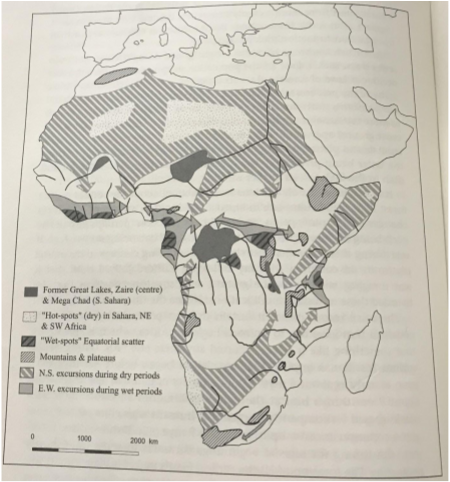 Bipedality_ African Hot-Dry Cycles.png