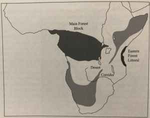 Bipedality_ Two Forests