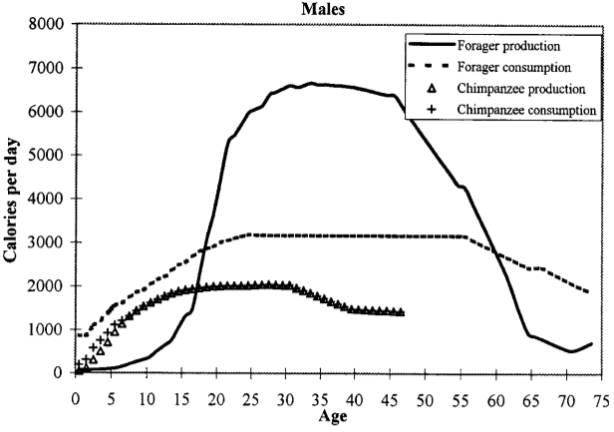 Born To Run_ Calorie Budget (1)