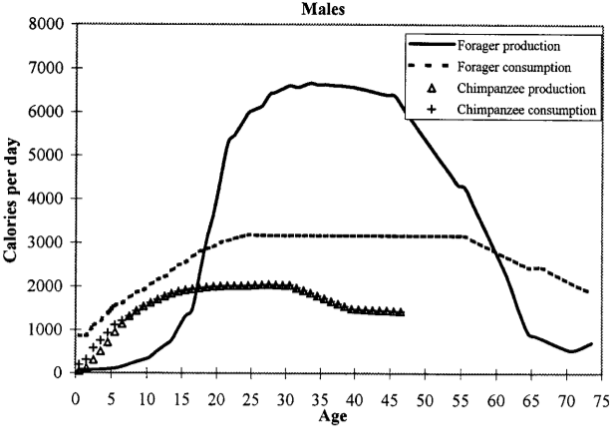 Born To Run_ Calorie Budget (1)
